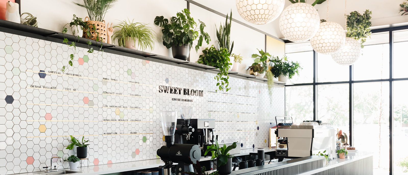Sweet Bloom Coffee Roasters